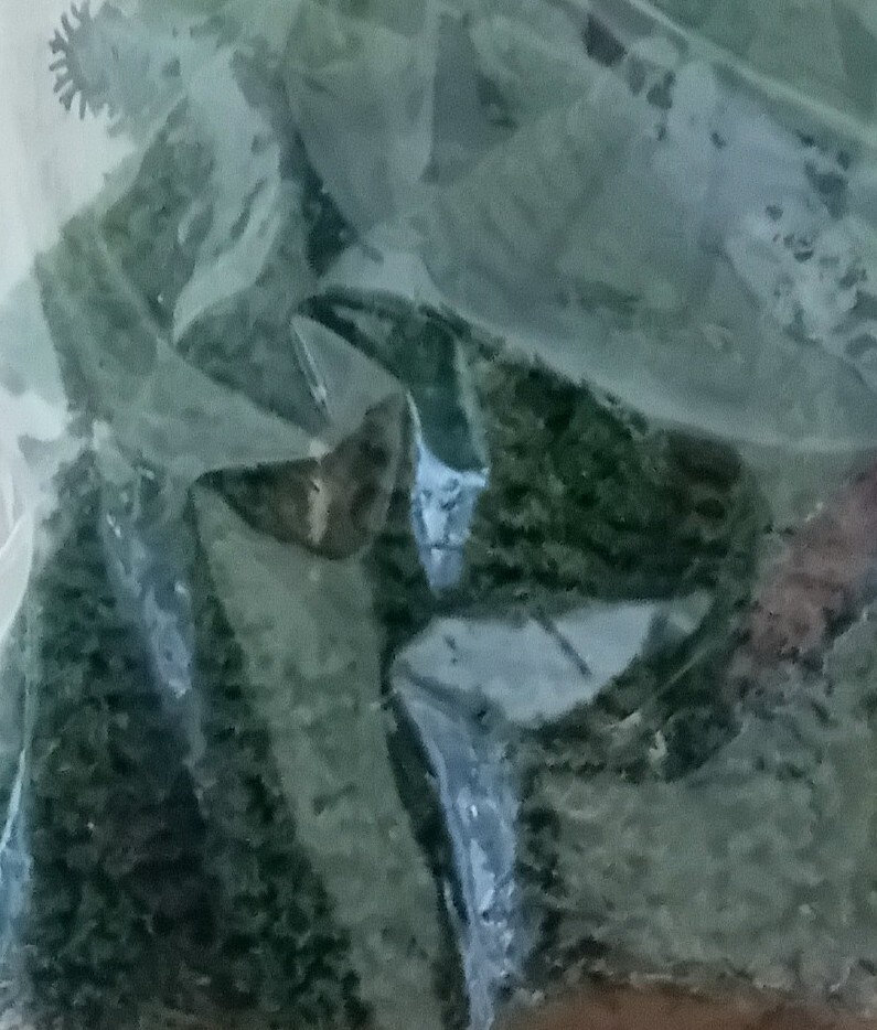 Picture 6 of 6