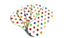 Bild 11 von 20