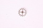 Foto 23 di 25