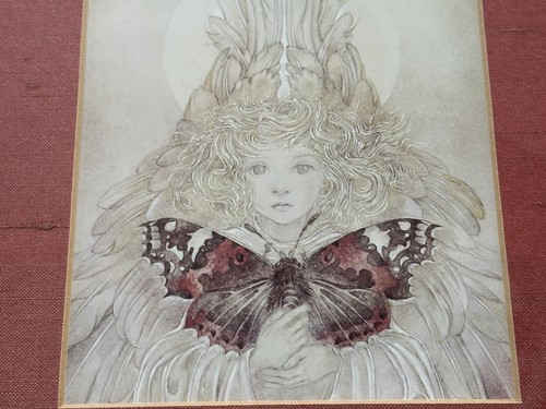 "Sulamith Wolfing La prima stampa farfalla fantasia incorniciata e opaca 12,5"" X 15,5""" - Foto 13 di 13