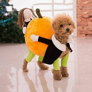 Funny-Carrying-Pumpkin-Dog-Cat-Pet-Clothes-Costume-Fancy-Puppy-Apparel-Jacket