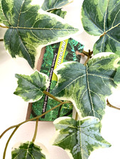 *HEDERA (Medium)* Uv Protected Artificial Terrarium Vivarium Reptile Plants