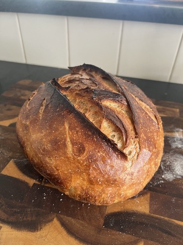 Sourdough Starter 'Hilda' | 20+ Years Old | Practically Invincible | Dehydrated - Picture 2 of 8