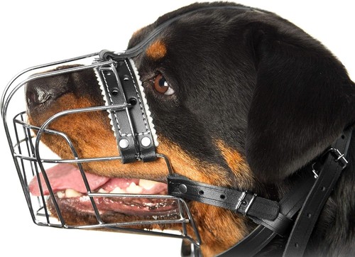 Lightweight Metal Dog Muzzle for Safe Grooming & Outdoor Use - Rottweiler Fit - Picture 3 of 10