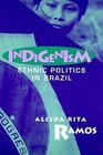 Indigenism: Ethnic Politics in Brazil by Alcida Rita Ramos (Paperback, 1998)