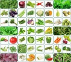 50 Variety Of Vegetable Seeds Combo Pack With Instruction Manual.