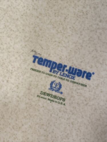 Lenox Temperware Tautrops Gänseblümchen Teller 10,25 Zoll blau MCM 70er - Bild 4 von 4