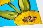 Bild 8 von 9