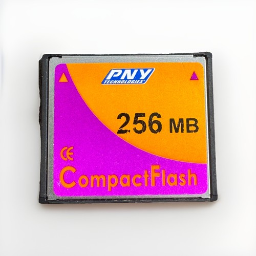 256MB PNY Technologies CompactFlash CF Memory Card