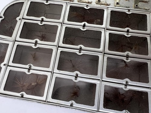 Caja antimoscas de metal Wheatley SIMALLOY de colección compartimentos con tapa transparente con estuche para moscas - Imagen 3 de 21