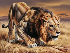 Apex Hunter- 1 of 1 - 18" x 24" Fine Art Print - African Lion, Lions
