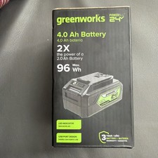 Greenworks 24V POWERALL 4.0Ah Lithium-Ion USB Power Tool Battery  BAG709 New