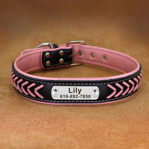 Customised Braided Leather Dog Collar Personalised Pet Puppy Name ID Tags Padded - Picture 14 of 19