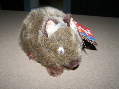 TUBBY the Wombat - Picture 2 of 6