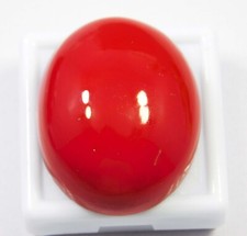 Natural 60.85 Ct Red Coral Cabochon Cut Loose Gemstone Firee Ship DR-809