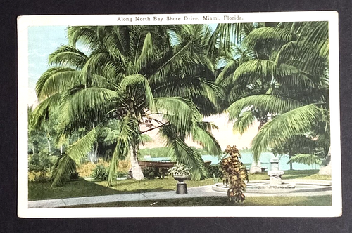 Cartolina Along North Bay Shore Drive vista panoramica Royal Palms Miami Florida anni '20 - Foto 1 di 2