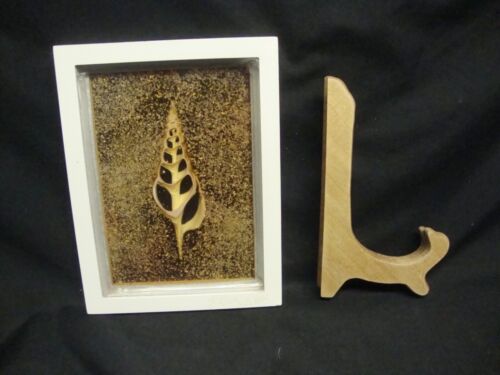 3-D Signed Display ~ Seashell on Sand Glass in Frame in Stand ~ 6" x 8" x 1/2" - Picture 6 of 6