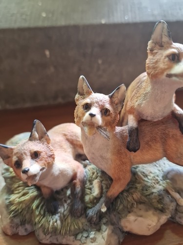 Border Fine Arts Three Fox Cubs By Ray Ayres Limited Edition 249/1500 1982 - Bild 19 von 24