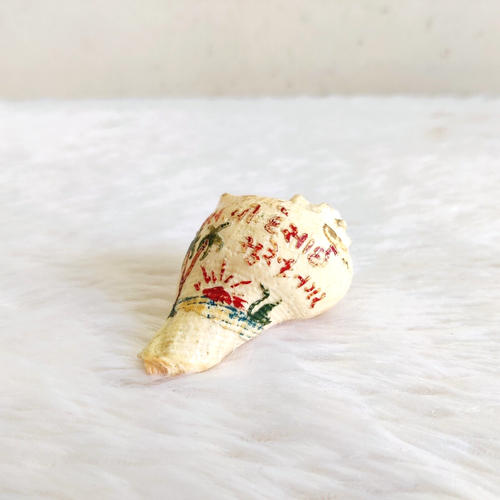 Vintage Beautiful White Natural Conch Shell Beach Decorative Collectible SL26 - Picture 1 of 10