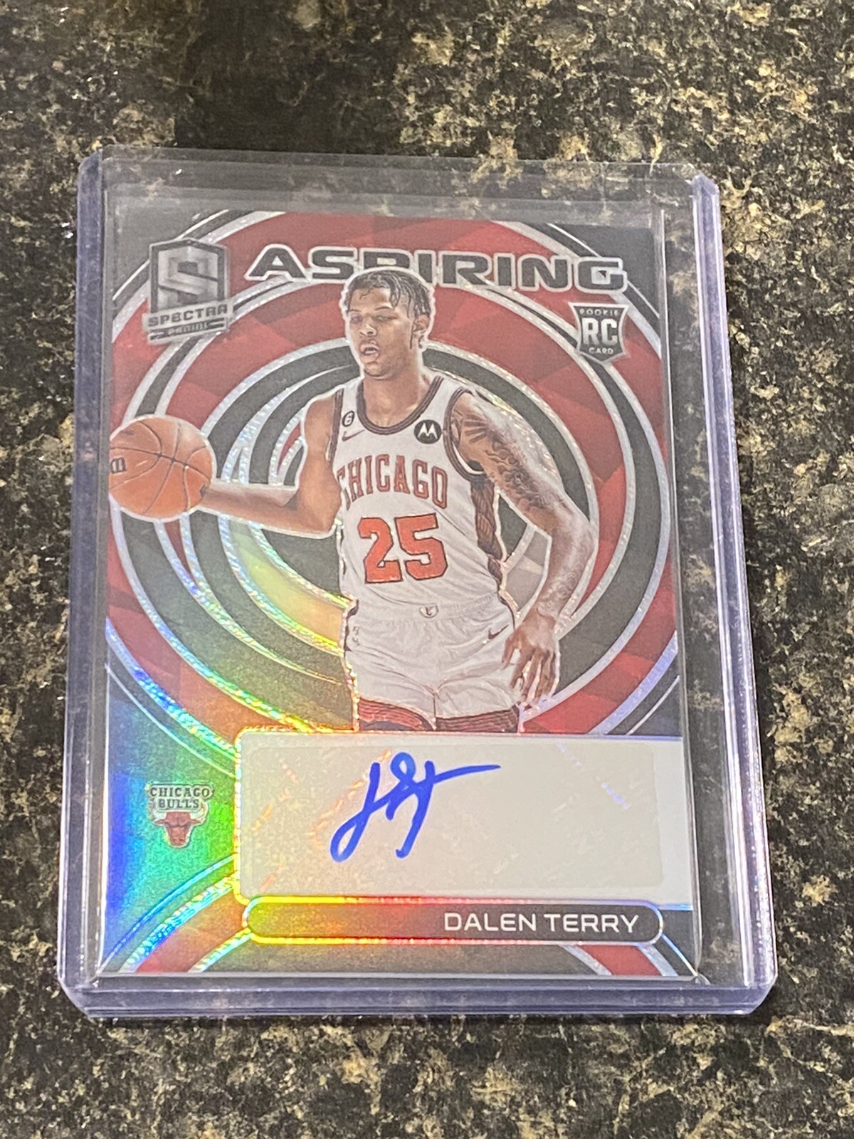 2022-23 Spectra Dalen Terry #AA-DTY  Rookie Aspiring Auto - /99 Bulls