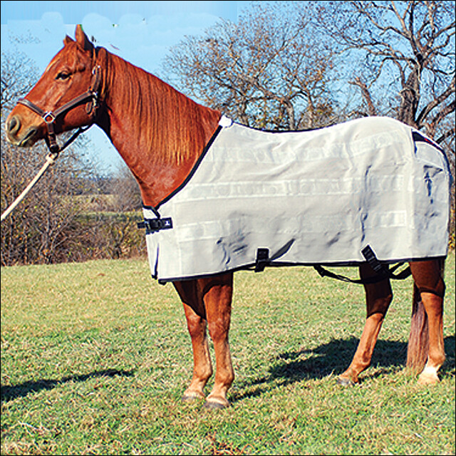 C-ETXS X SMALL CLASSIC EQUINE MAGNTX WARM UP HORSE MAGNET BLOOD FLOW FLY SHEET C-ETXS X SMALL CLASSIC EQUINE MAGNTX WARM UP HORSE MAGNET BLOOD FLOW FLY SHEET buy discounts