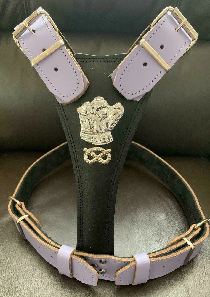 Staffie harness clearance