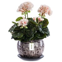 Blumentopf Rund Keramikkugel Ø14 Cm H 12,5 Cm Braun Mosaik Glanz Mit Untersetzer