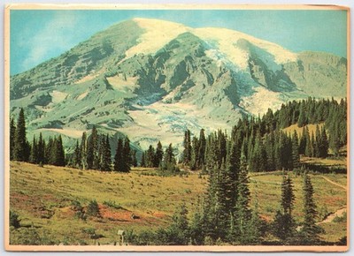 Vintage Mount Rainier Washington Postcard Paradise Valley Smith Western CT-453