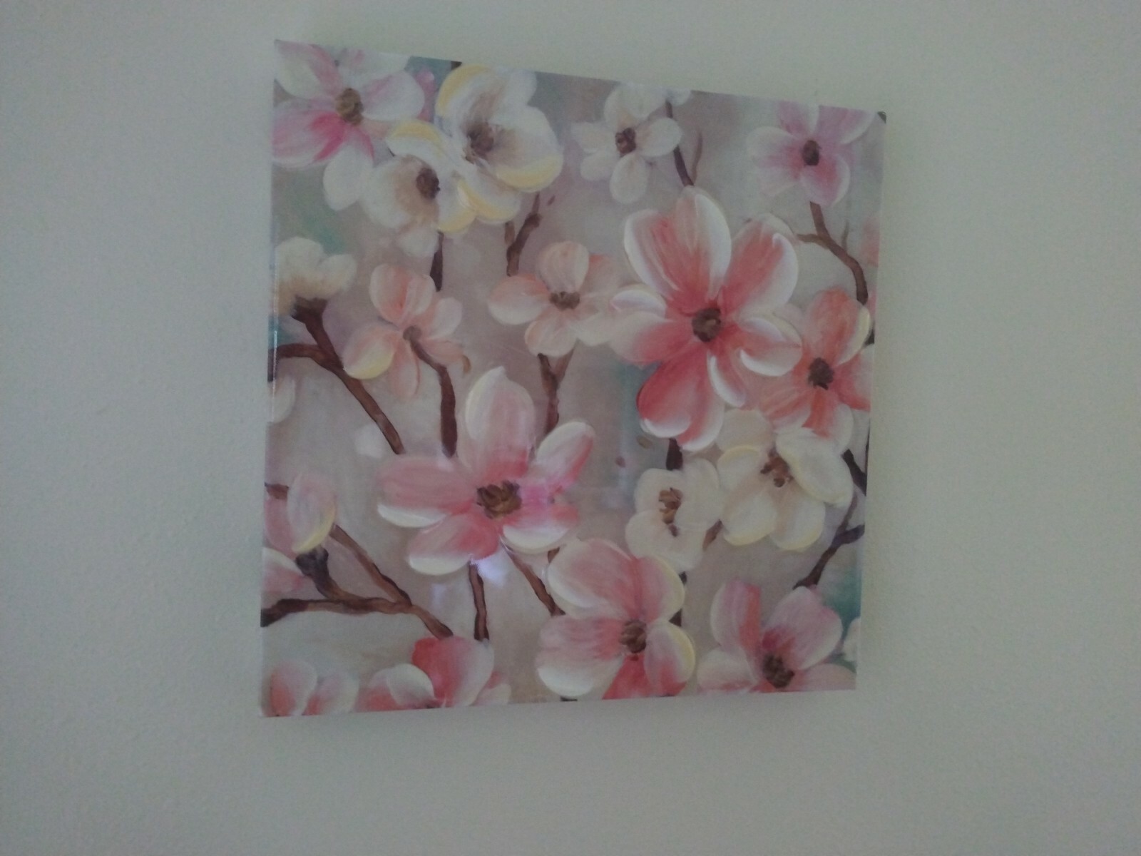 Picture 5 of 6
