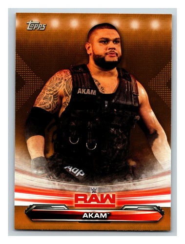 2019 Topps WWE RAW w/ Hometown Heroes & Bronze - Pick One - Fill Your Set - Picture 312 of 383