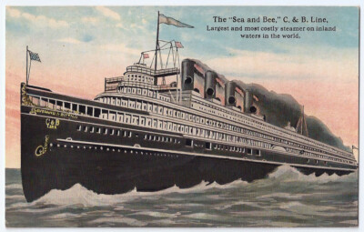 The Sea and Bee C.& B. Line Largest Inland Waters Steamer Vintage Postcard #537
