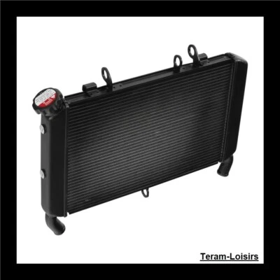 Radiateur pour Yamaha MT09 / FZ09 de 2017 2018 2019 2020 2021 / NEUF - Photo 1/4