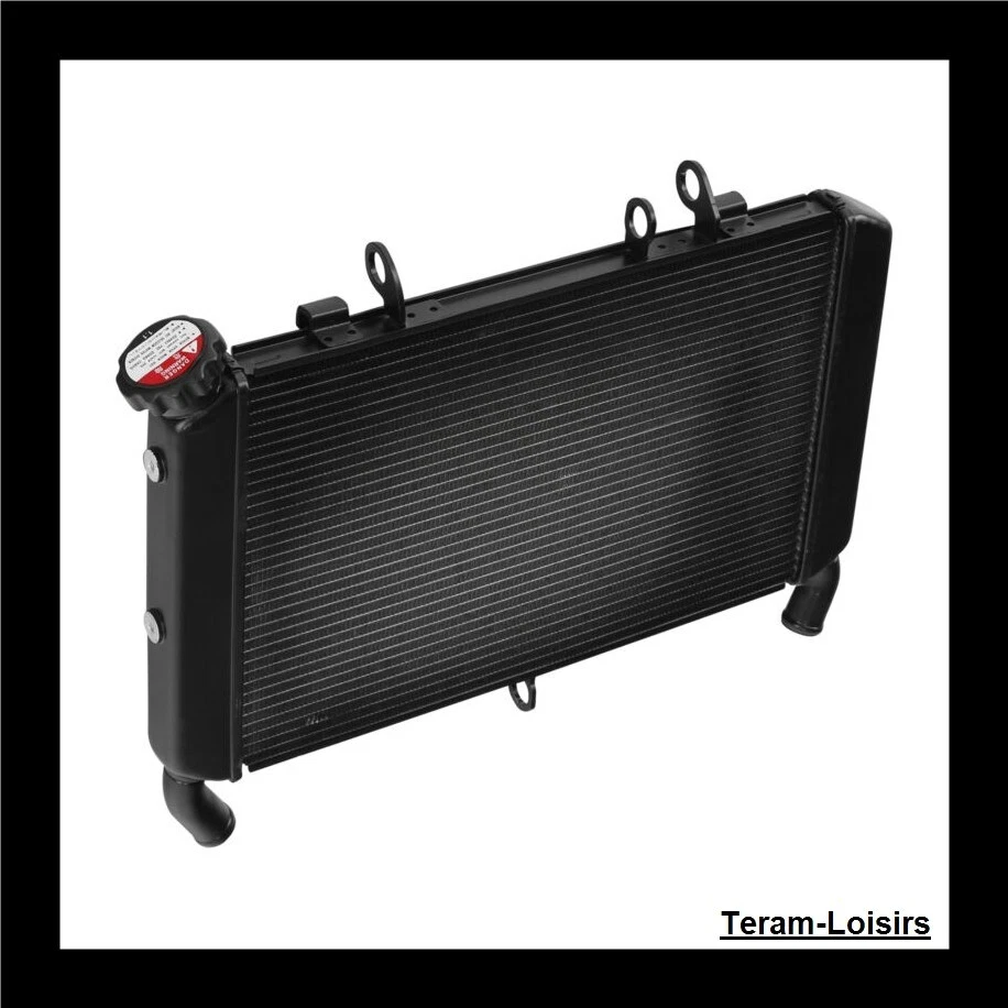 Radiateur pour Yamaha MT09 / FZ09 de 2017 2018 2019 2020 2021 / NEUF - Photo 1/4