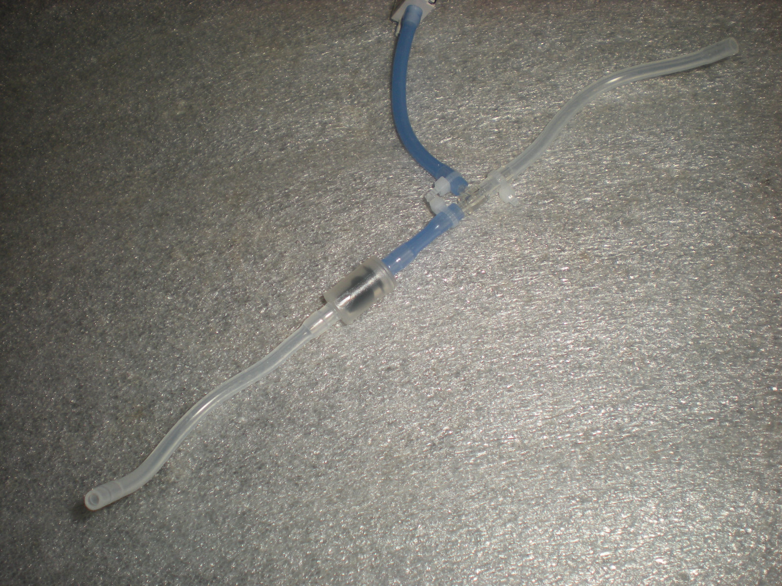 Picture 5 of 6