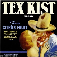 Brownsville Texas Tex Kist Orange Citrus Fruit Crate Label Art Print