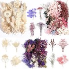 New ListingReal Dried Flowers 100% Natural Dried Flowers, Mixed Colors Dried Leaf Flowers