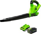 Greenworks 40V (150 MPH / 130 CFM) Cordless Leaf Sweeper, Green/Black