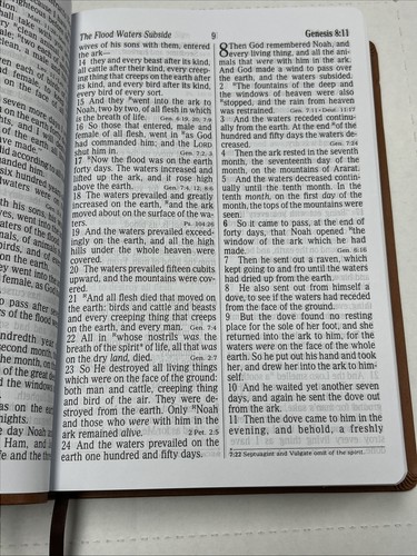 NKJV Super Riesen Druck Bibel von Thomas Nelson roter Buchstabe braun lederweich - Bild 8 von 20