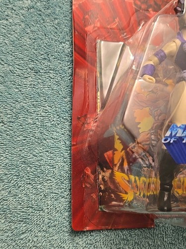 Evil-Lyn 2021 Retro Play MOTU Masters of the Universe Origins NEU UNPUNCHED - Bild 4 von 4