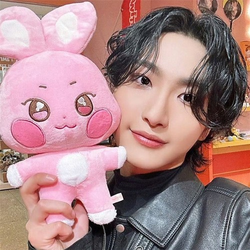 ATEEZ Plush Aniteez Doll Hongjoong Yunho Yeosang San Mingi Wooyoung Dolls toy - Picture 7 of 32