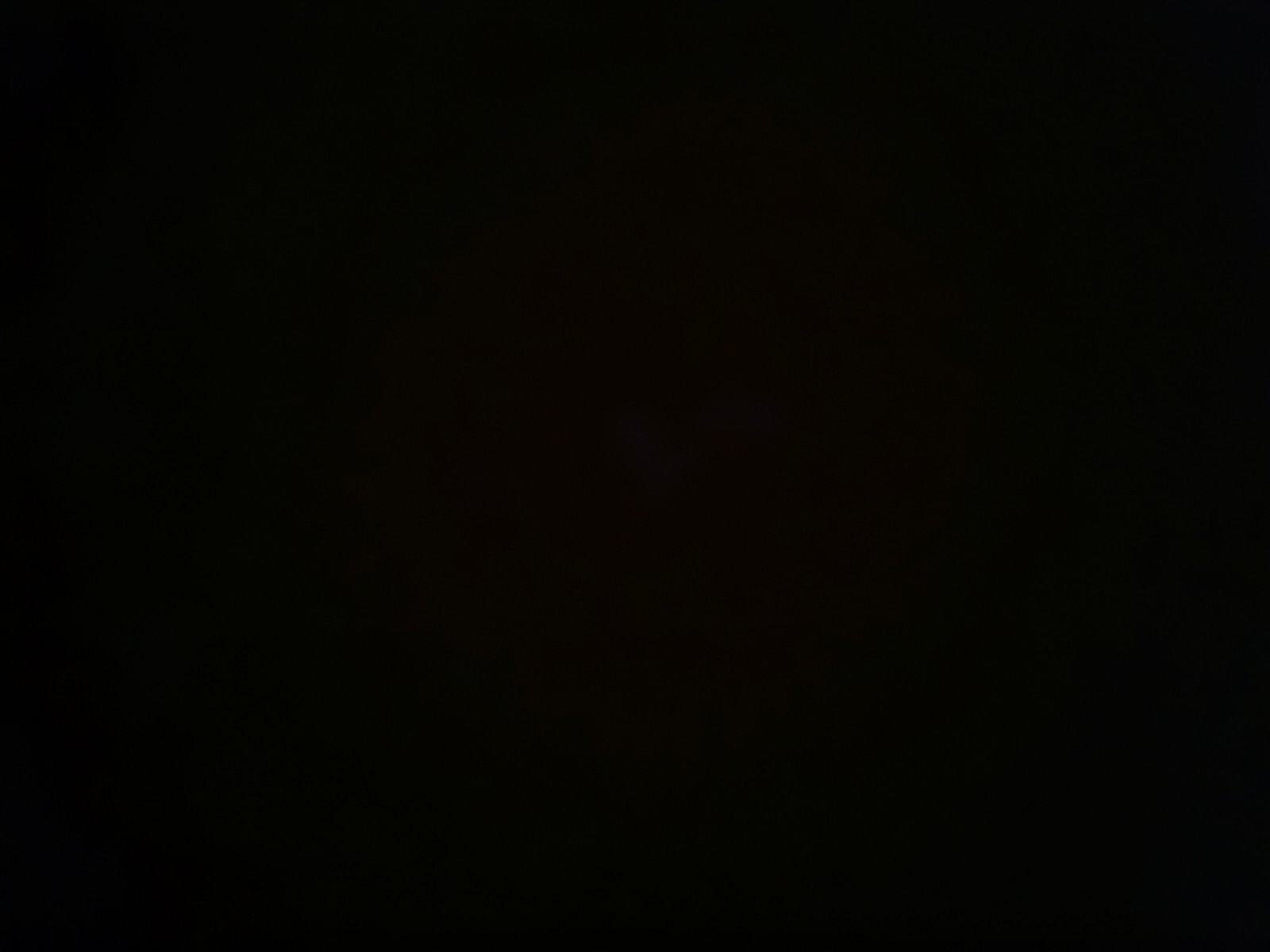 Picture 9 of 9