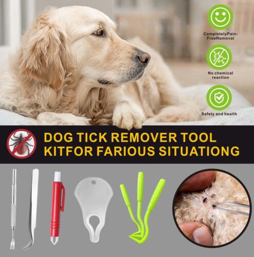 Tick Remover Tool Kit Stainless Steel Tick Tweezers + Remover Tick Key 4 Pack... - Picture 2 of 7