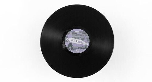 The Poles - Anomalies in the oddity space LIMITED EDITION LP VER. VINYL SEALED - Picture 6 of 9