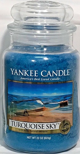 RARE Yankee Candle SUMMER SPRING HOLIDAY 22oz LARGE JARS LE RETIRED *U PICK* - Bild 147 von 205