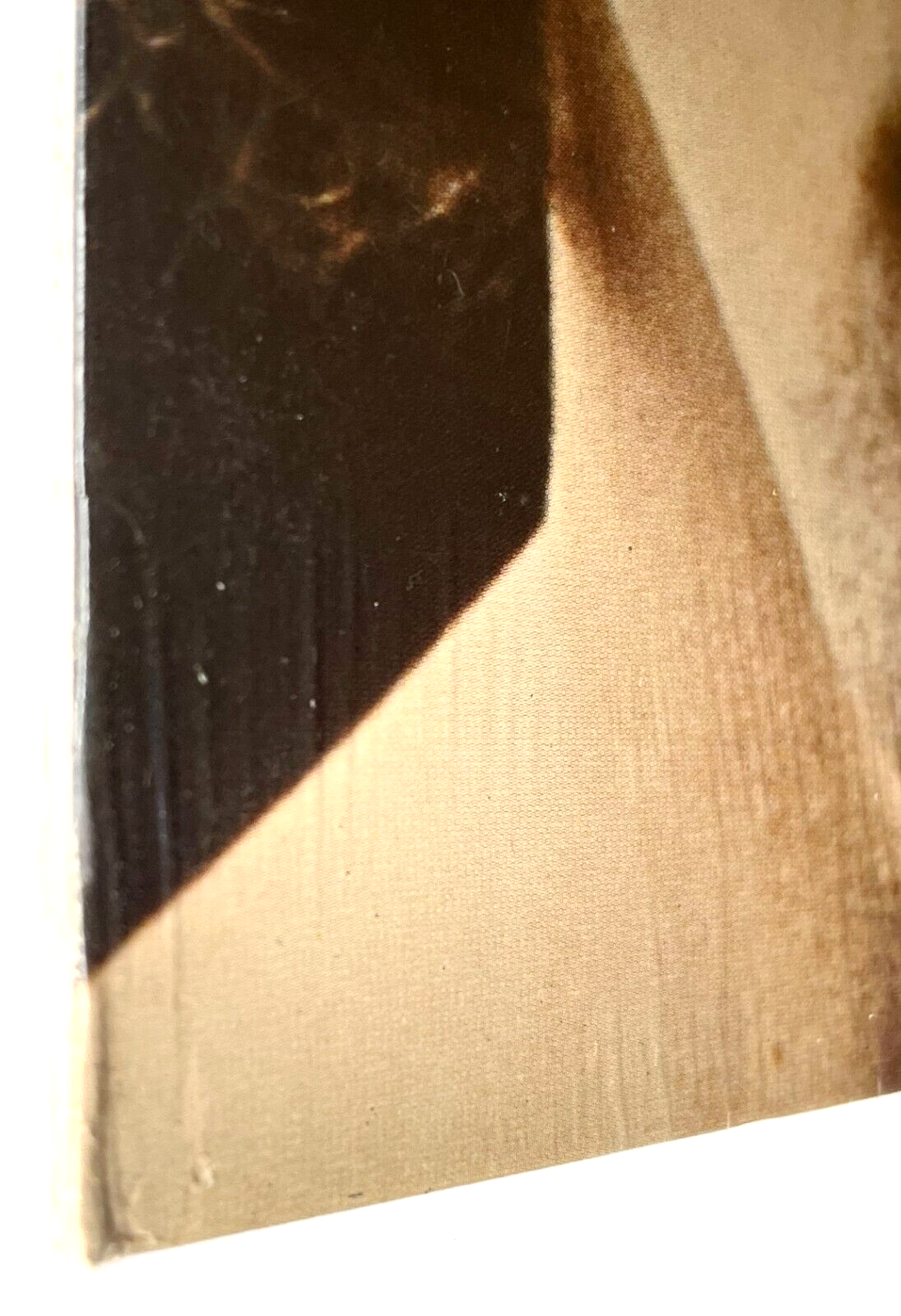 Picture 5 of 5