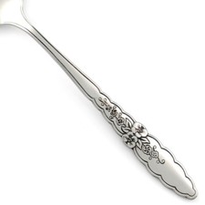 Oneida Community FLORAL GLEN Stainless Glossy Silverware CHOICE Flatware