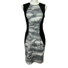 Calvin Klein Women’s Career Business Dress Sz 4 Multi Color Lined Sleeveless