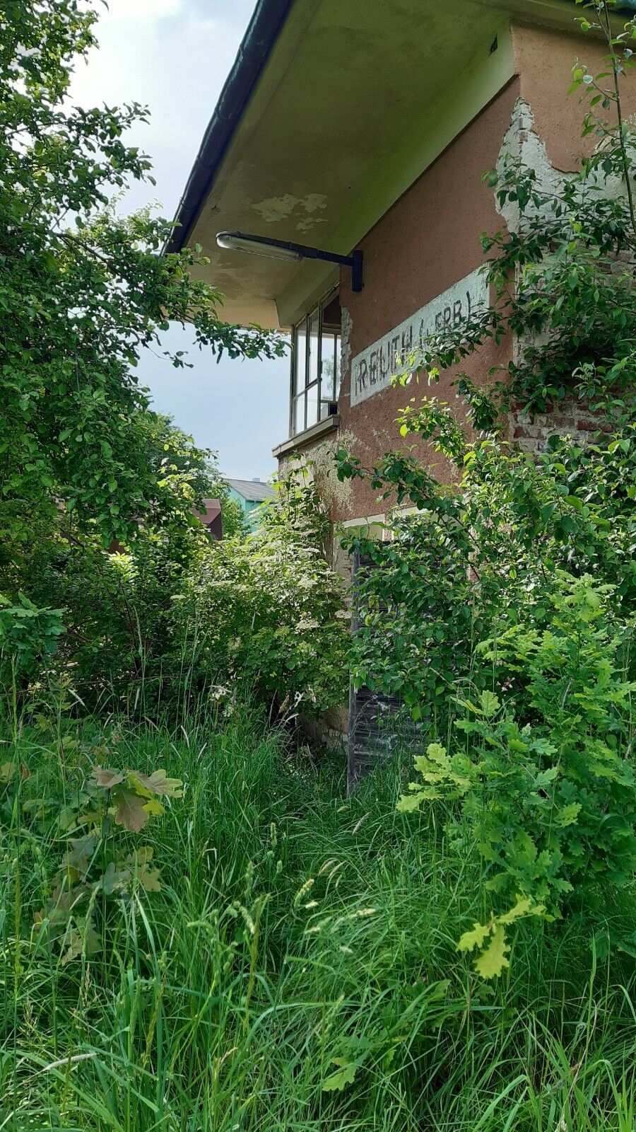 Bild 11 von 12