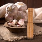  3 Pcs Garlic Pounder Grinding Tool Compact Multi-function Grinder