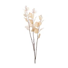 Seeded Eucalyptus Stem (Set of 2)